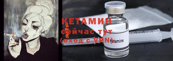 прущие грибы Протвино