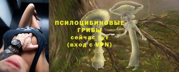 прущая мука Пролетарск