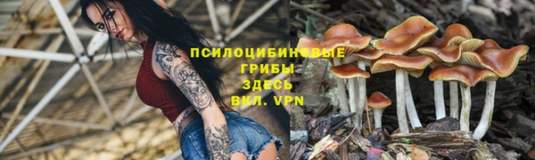 стафф Абдулино