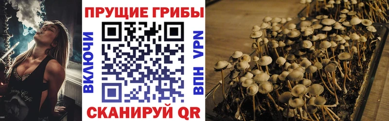 Галлюциногенные грибы ЛСД  ссылка на мегу онион  Кириллов 