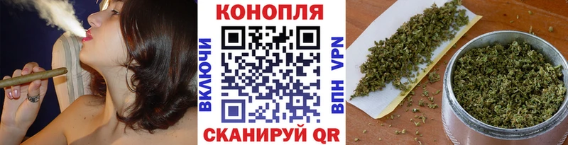 Бошки марихуана план  где можно купить наркотик  Кириллов 